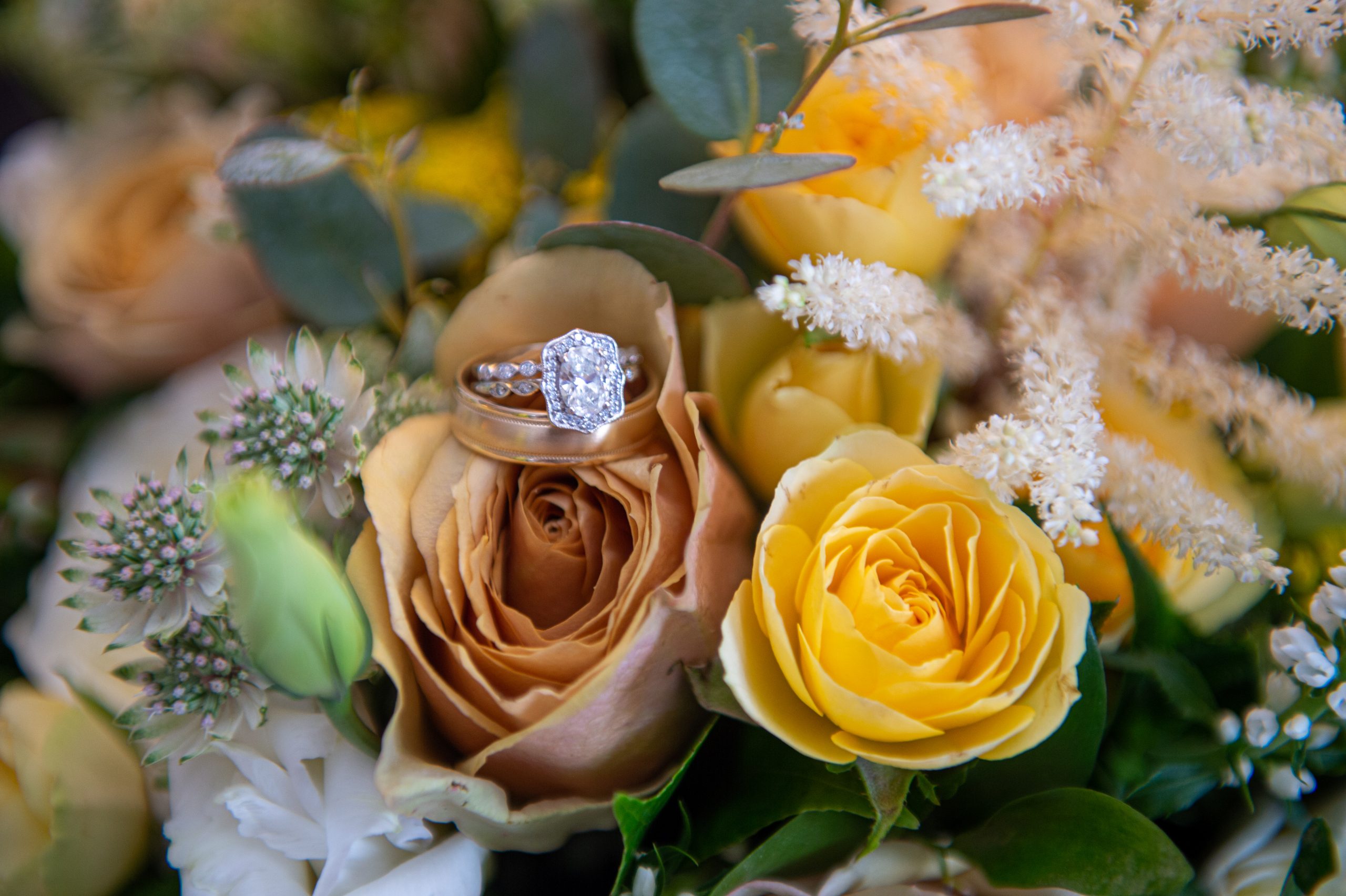 Garden Elegance at the Blackstone